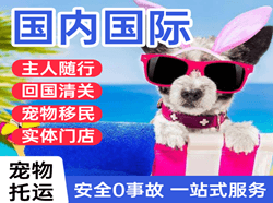 白塔机场快运国际宠物托运 【国